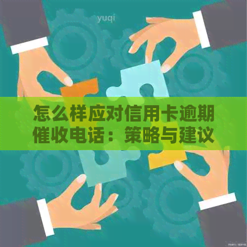 怎么样应对信用卡逾期电话：策略与建议