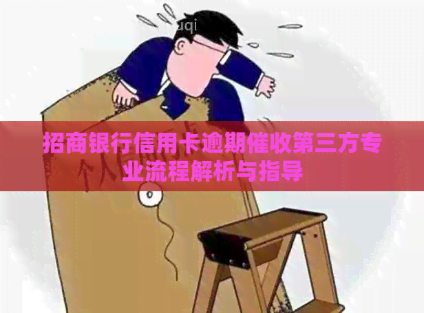 招商银行信用卡逾期第三方专业流程解析与指导
