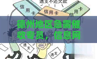 德州地区急需专员，信息网招聘同步启动