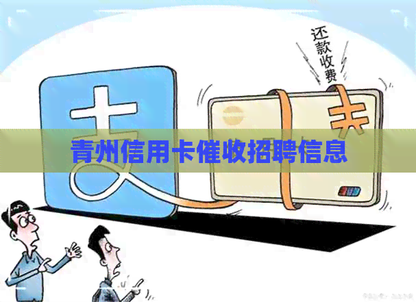 青州信用卡招聘信息