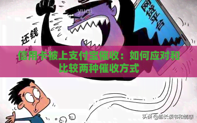 信用卡被上支付宝：如何应对和比较两种方式