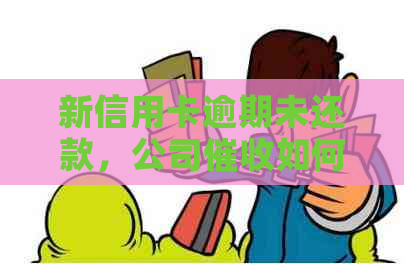 新信用卡逾期未还款，公司如何应对？