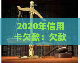 2020年信用卡欠款：欠款金额、起诉流程与可能的刑事责任全面解析