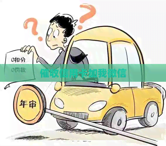 信用卡加我微信