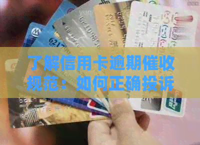 了解信用卡逾期规范：如何正确投诉避免不必要的电话