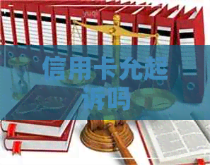 信用卡允起诉吗