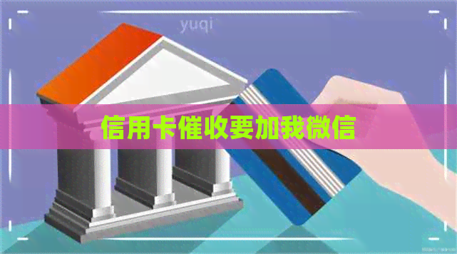 信用卡要加我微信