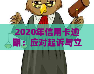 2020年信用卡逾期：应对起诉与立案的关键策略