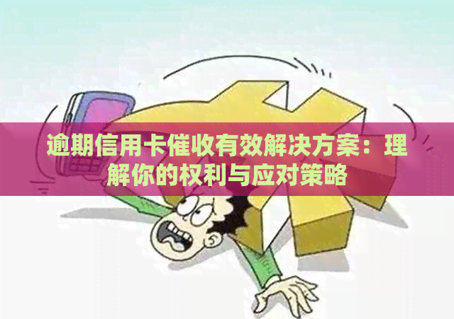 逾期信用卡有效解决方案：理解你的权利与应对策略