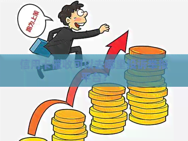 信用卡可以去哪里投诉举报平台？