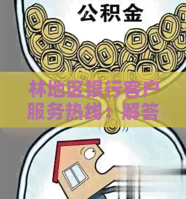 林地区银行客户服务热线：解答您的疑问与不满