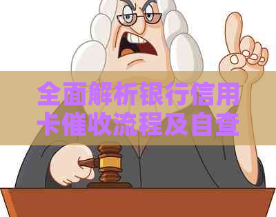 全面解析银行信用卡流程及自查报告：从预防到应对的全方位指南
