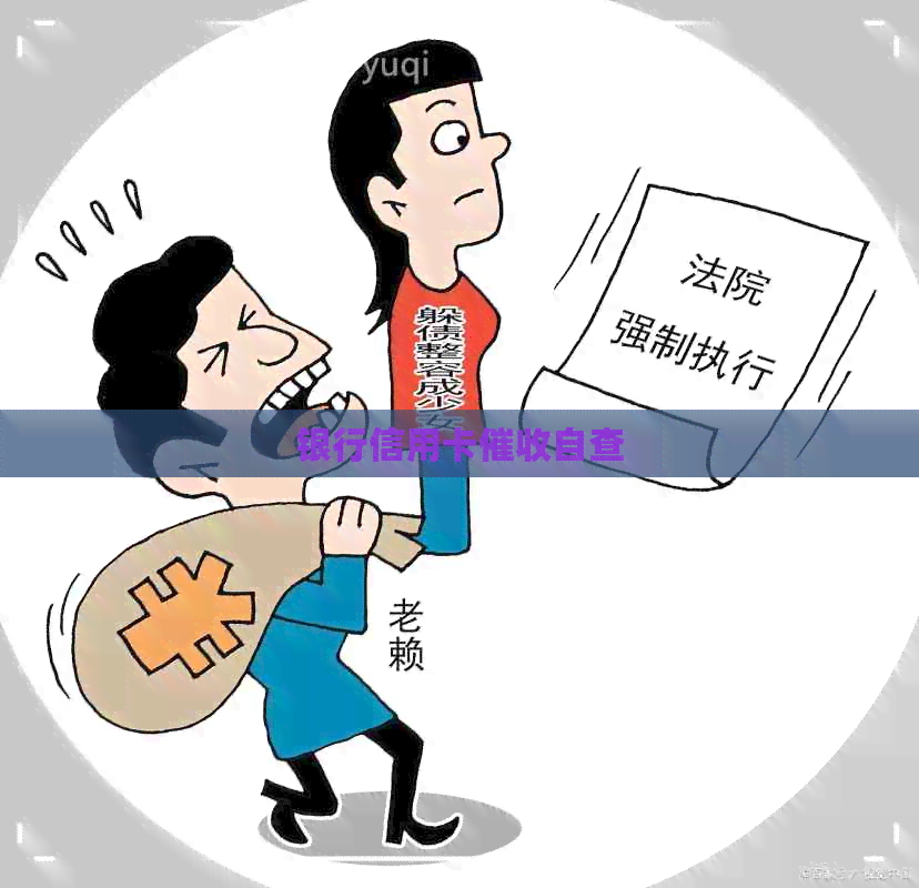 银行信用卡自查