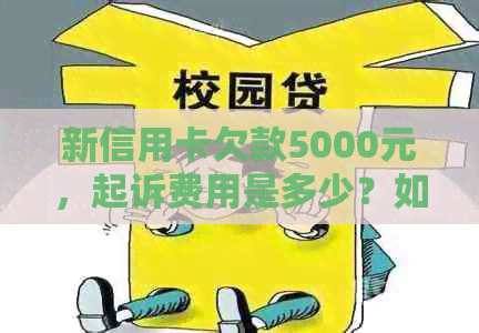 新信用卡欠款5000元，起诉费用是多少？如何计算诉讼费和律师费？