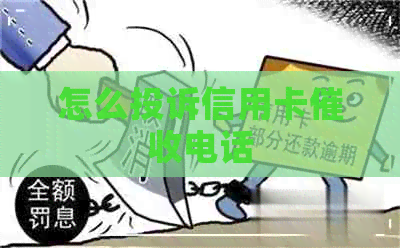 怎么投诉信用卡电话