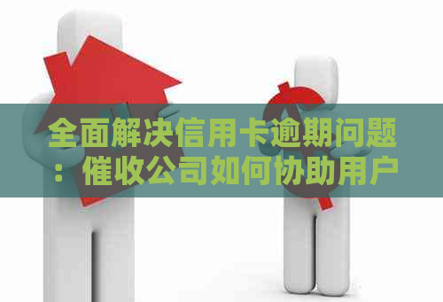 全面解决信用卡逾期问题：公司如何协助用户规划还款并提供相关服务