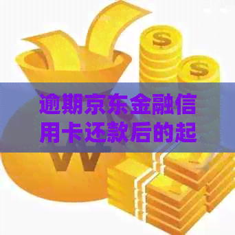 逾期京东金融信用卡还款后的起诉后果与协商分析：是否有效？