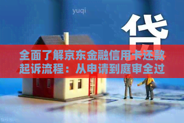 全面了解京东金融信用卡还款起诉流程：从申请到庭审全过程详解