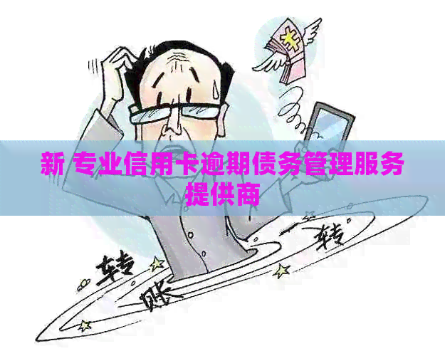 新 专业信用卡逾期债务管理服务提供商