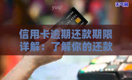 信用卡逾期还款期限详解：了解你的还款权益