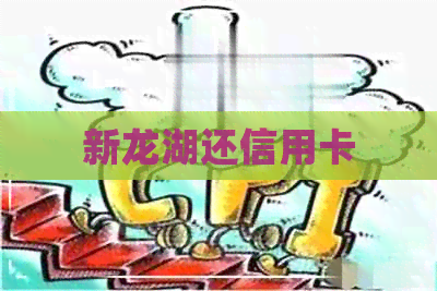 新龙湖还信用卡
