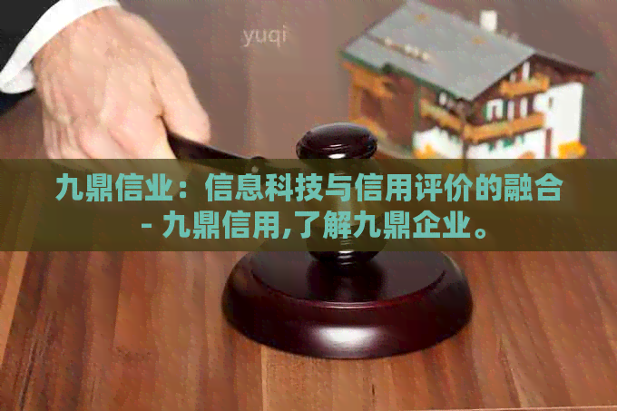 九鼎信业：信息科技与信用评价的融合 - 九鼎信用,了解九鼎企业。