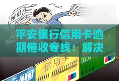 平安银行信用卡逾期专线：解决您的财务困扰