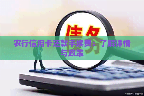 农行信用卡还款手续费：了解详情与政策