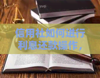 信用社如何进行利息还款操作，详细步骤及注意事项一览