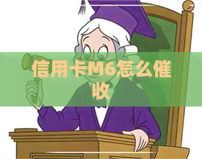 信用卡M6怎么