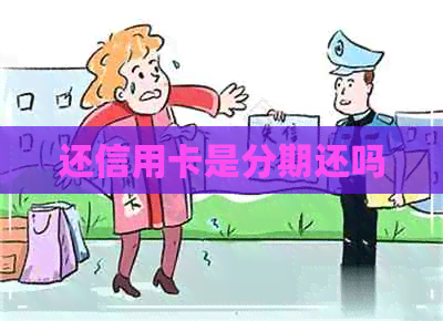 还信用卡是分期还吗