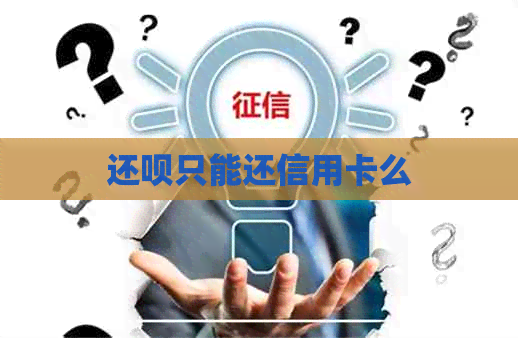 还款只能还信用卡么