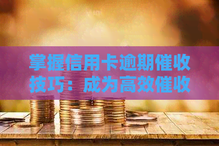 掌握信用卡逾期技巧：成为高效员的关键素质与能力分析