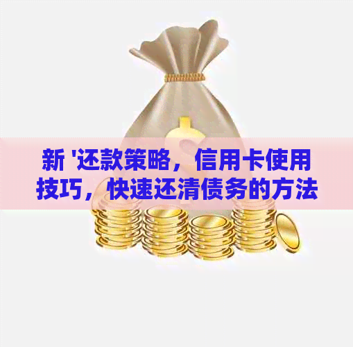 新 '还款策略，信用卡使用技巧，快速还清债务的方法'