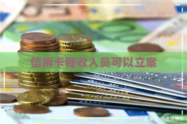 信用卡人员可以立案