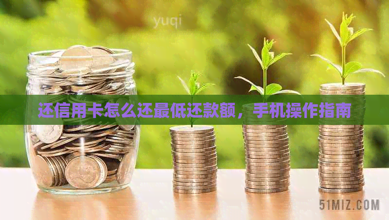 还信用卡怎么还更低还款额，手机操作指南