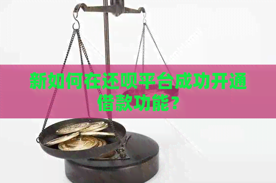 新如何在还款平台成功开通借款功能？