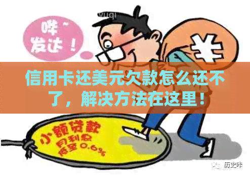 信用卡还美元欠款怎么还不了，解决方法在这里！