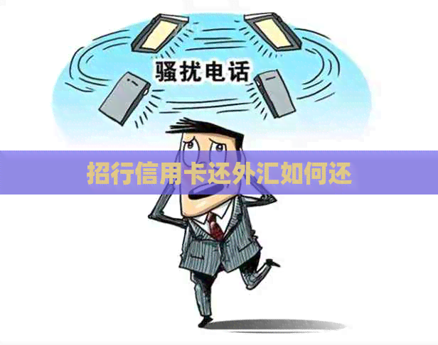 招行信用卡还外汇如何还