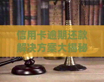 信用卡逾期还款解决方案大揭秘：哪些平台可以代还？资讯活动不容错过！