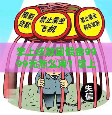 掌上还款回馈金9999元怎么用？掌上还款操作指南，入账时间及注意事项。