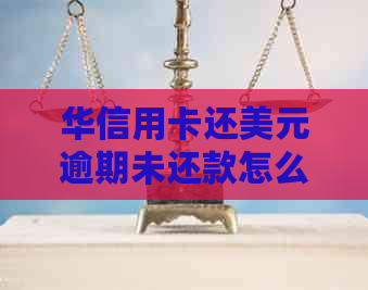 华信用卡还美元逾期未还款怎么办？了解解决方案和注意事项