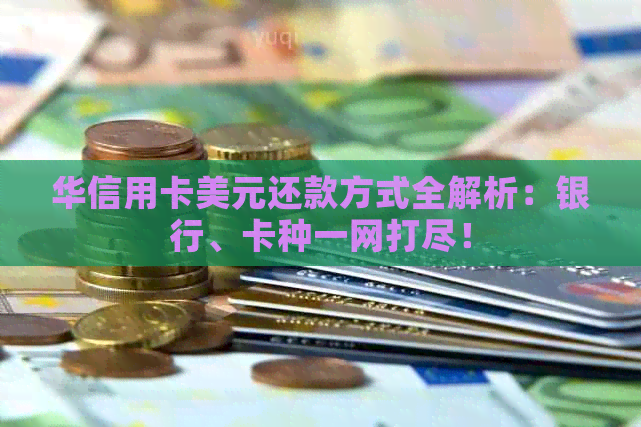 华信用卡美元还款方式全解析：银行、卡种一网打尽！