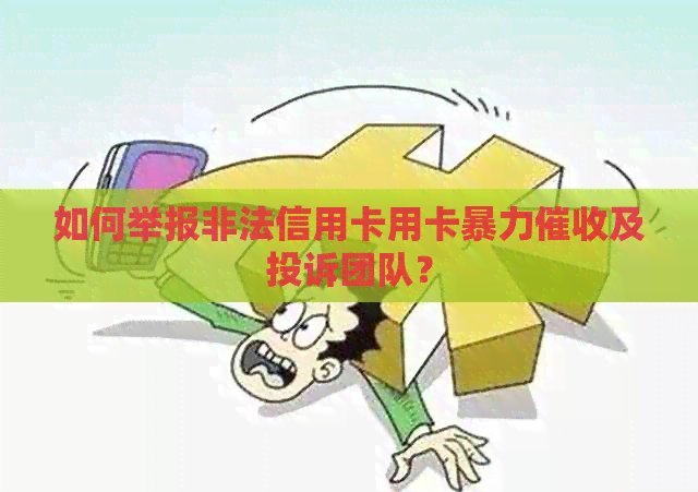 如何举报非法信用卡用卡及投诉团队？
