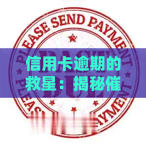 信用卡逾期的救星：揭秘员的神秘职责与高效工作方法