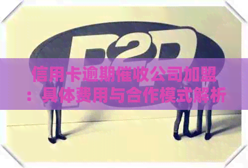 信用卡逾期公司加盟：具体费用与合作模式解析
