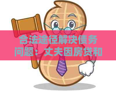 合法途径解决债务问题：丈夫因房贷和信用卡逾期的应对措