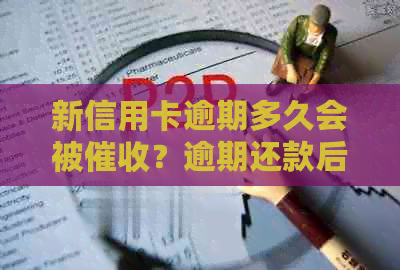 新信用卡逾期多久会被？逾期还款后果及解决方法大揭秘！