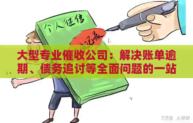 大型专业公司：解决账单逾期、债务追讨等全面问题的一站式服务