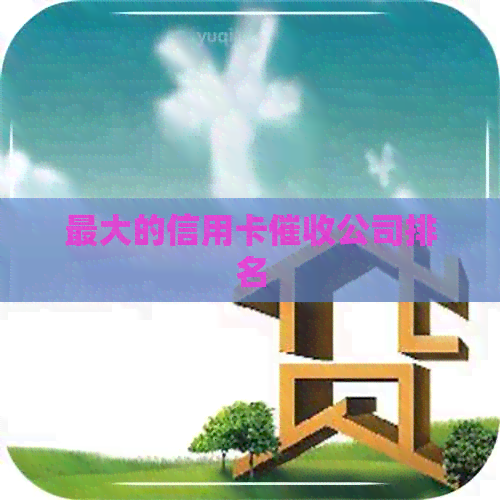 更大的信用卡公司排名